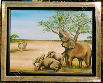Elephants
